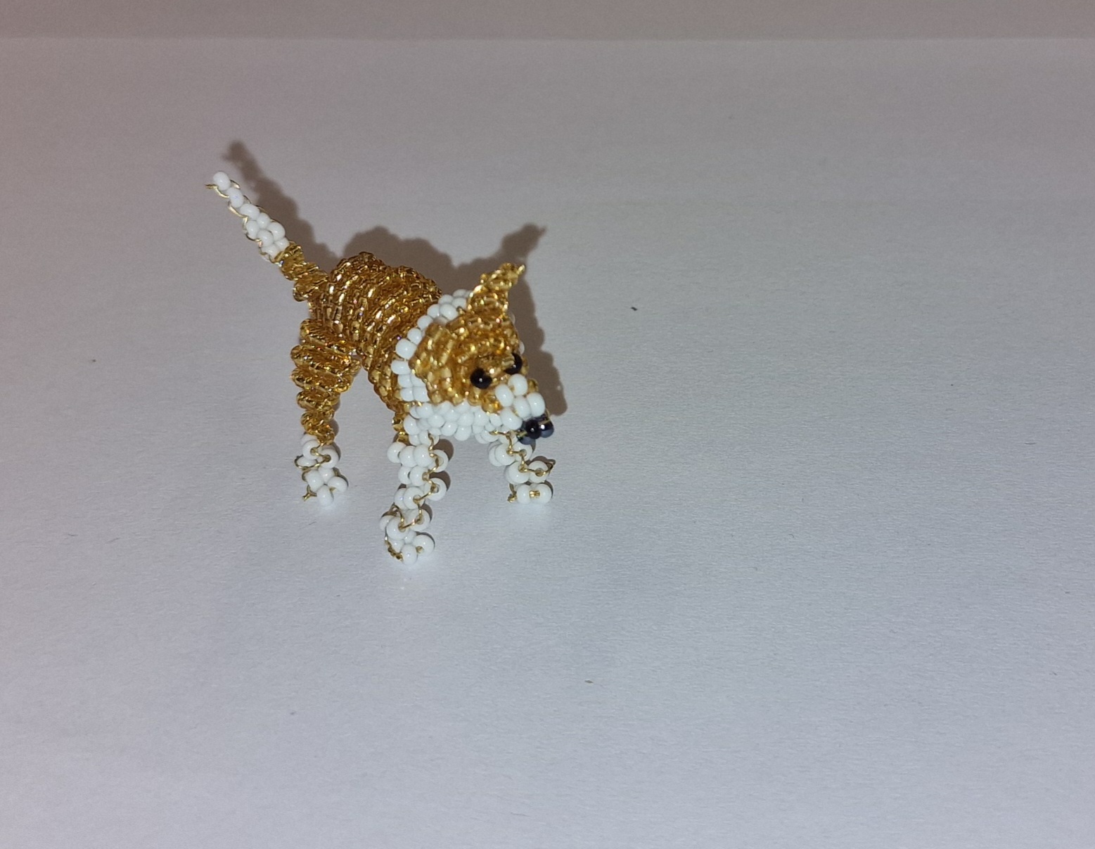 Collie - Perlentier